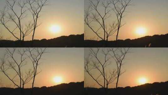 太阳落山树木剪影延时高清在线视频素材下载