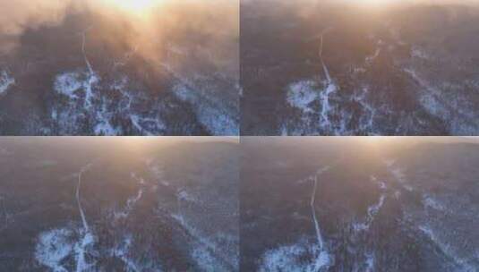 曙光照耀冻雾迷漫的林海雪原高清在线视频素材下载