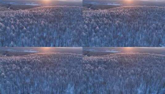 航拍林海雪原雾凇暖阳高清在线视频素材下载