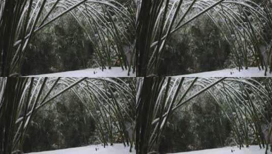 下大雪的慢镜头高清在线视频素材下载