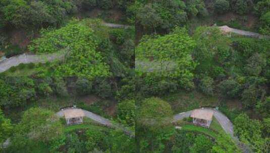 航拍雨后深圳银湖郊野公园风景高清在线视频素材下载