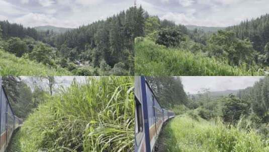 前往斯里兰卡埃拉的著名标志性火车高清在线视频素材下载