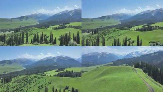 恰西伊犁新疆航拍草原雪山森林高清在线视频素材下载