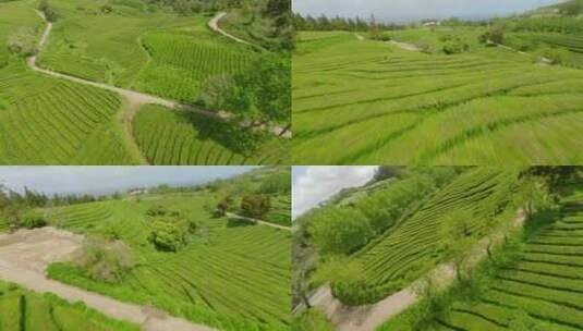 种植园，梯田，茶， Fpv高清在线视频素材下载