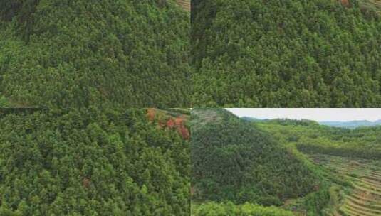 青山绿水高清在线视频素材下载