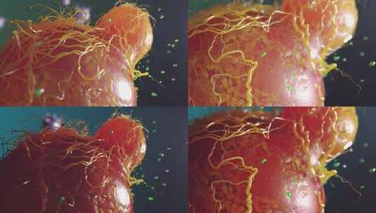 细胞是有机物3d可视化体细胞概念7高清在线视频素材下载