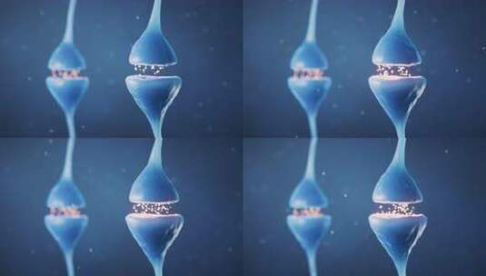 神经元细胞突触，生物学概念，三维绘制。高清在线视频素材下载
