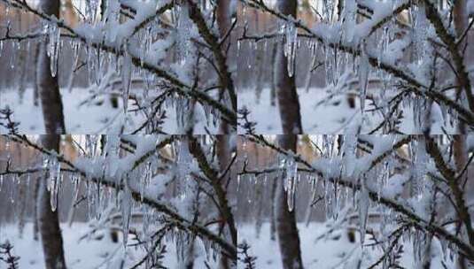 树枝上挂满冰柱的冬季雪景高清在线视频素材下载