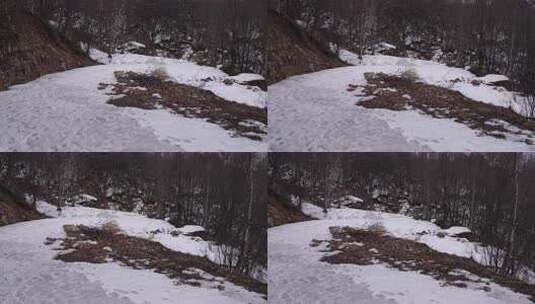 冬天 冬季 寒冷 凄凉 冷漠高清在线视频素材下载