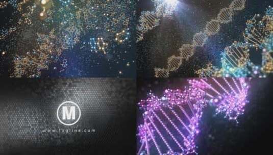 DNA粒子组成展示开场视频AE模板高清AE视频素材下载