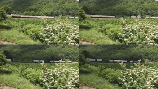 火车穿过森林高清在线视频素材下载