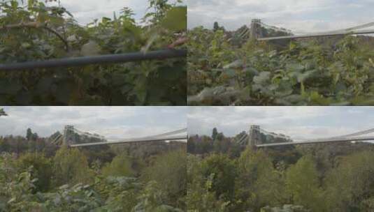 英国悬索桥附近景观高清在线视频素材下载