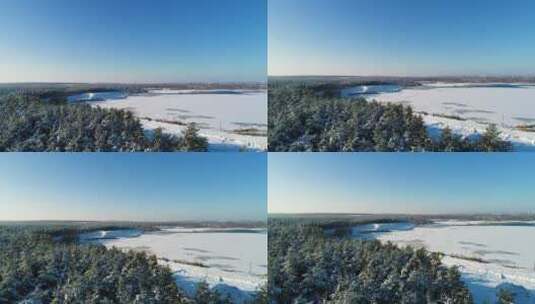 飞过森林边结冰的湖面高清在线视频素材下载