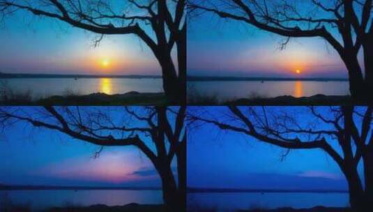 湖中夕阳下的一棵树的剪影高清在线视频素材下载