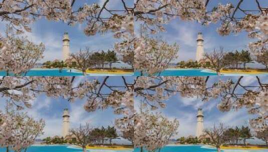 威海公园 花丛里的灯塔 延时高清在线视频素材下载