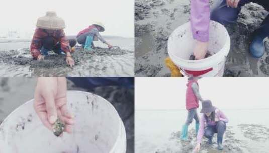 广东雷州半岛挖钉螺和贝壳高清在线视频素材下载