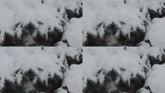 落在花园上的厚厚的雪高清在线视频素材下载