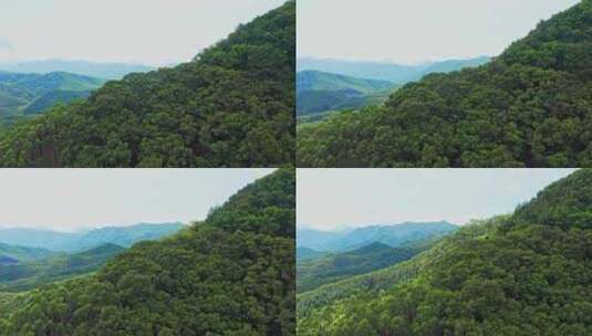 山脉横移看见远山山脉丛林高清在线视频素材下载