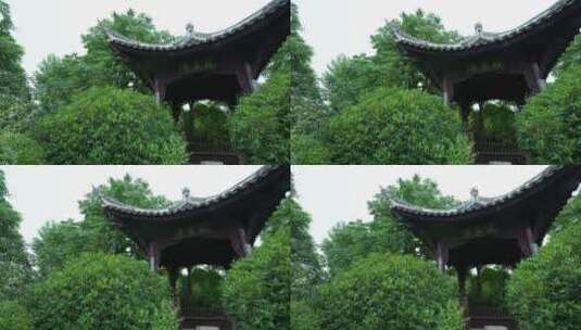 武汉硚口区园博园风景高清在线视频素材下载