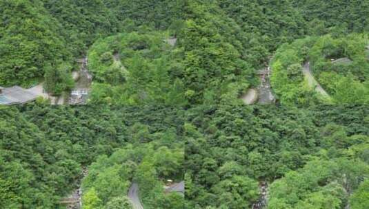 大自然绿色植物森林神农架官门山高清在线视频素材下载