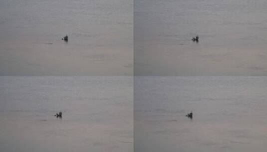 傍晚江面河面上一只白鹭河上一只孤独的鸟高清在线视频素材下载