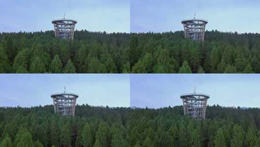 高清航拍森林自然风光高清在线视频素材下载