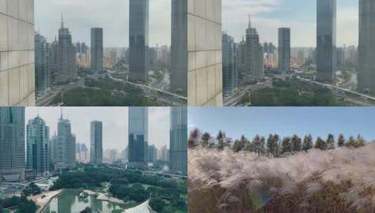 上海风光高清在线视频素材下载