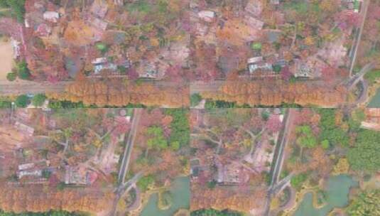 湖北武汉东湖风景区秋季风光高清在线视频素材下载
