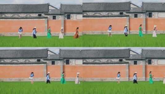 一群人从喜洲网红墙前的绿色稻田中走过高清在线视频素材下载