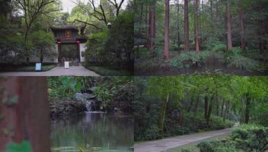 杭州西湖虎跑公园森林氧吧4K视频合集高清在线视频素材下载