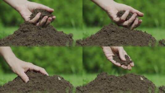 优质土壤农民用手观察高清在线视频素材下载