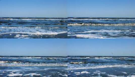 8k实拍海边海浪海鸟高清在线视频素材下载