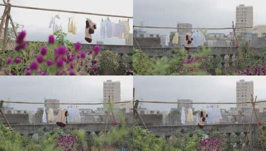 M1 阳台晾晒儿童衣物高清在线视频素材下载