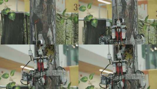 机械玩具车套装在树杆上移动高清在线视频素材下载