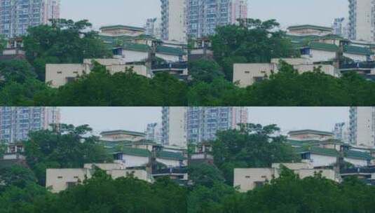 城市建筑大楼鸽子飞翔高清在线视频素材下载