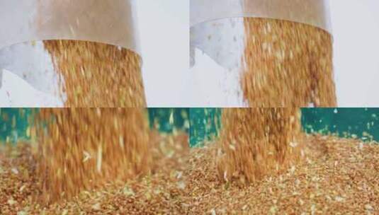 4K小麦丰收麦粒高清在线视频素材下载