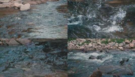 河流溪水高清在线视频素材下载