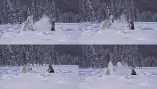 好朋友打雪仗高清在线视频素材下载