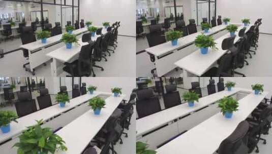 会议室空境 盆栽 桌椅高清在线视频素材下载