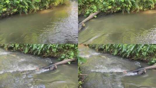 小溪河流河道高清在线视频素材下载