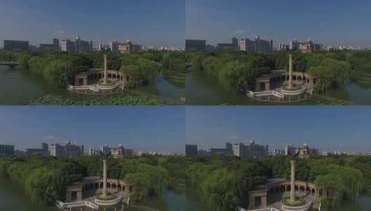 上海松江思贤公园老鹰航拍高清在线视频素材下载