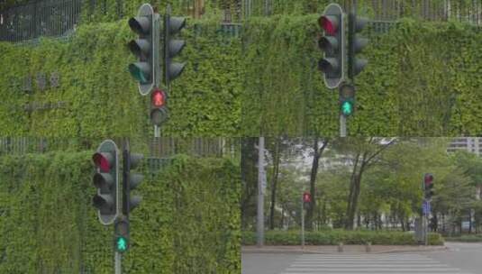 【4K】大学城的路口红绿灯高清在线视频素材下载