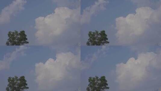 蓝天白云与树高清在线视频素材下载