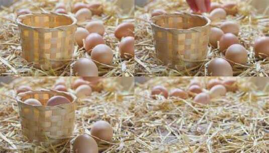 养鸡 农户 土鸡蛋 鸡蛋高清在线视频素材下载