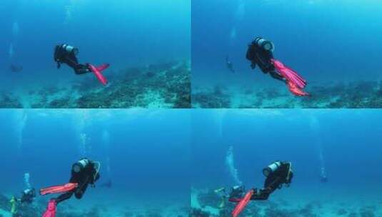 水肺潜水员在热带水域游泳高清在线视频素材下载