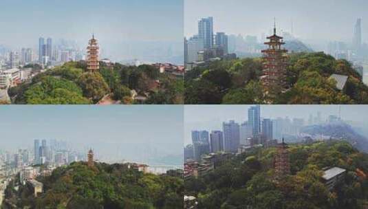 鹅岭公园航拍 渝中半岛 重庆 渝中公园航拍高清在线视频素材下载
