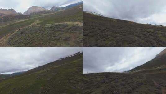 香格里拉白马雪山垭口穿越机FPV航拍高清在线视频素材下载