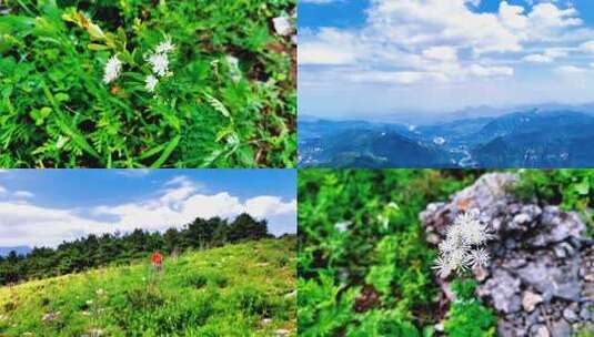 太行山山巅之上俯视群山一览众山小高清在线视频素材下载