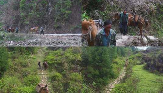 历史茶马古道繁荣古代经济古道山路商队高清在线视频素材下载