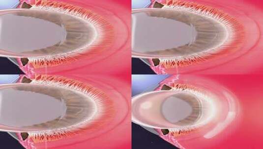 眼球睫状肌放松眼睛调节视力调节竖屏高清在线视频素材下载